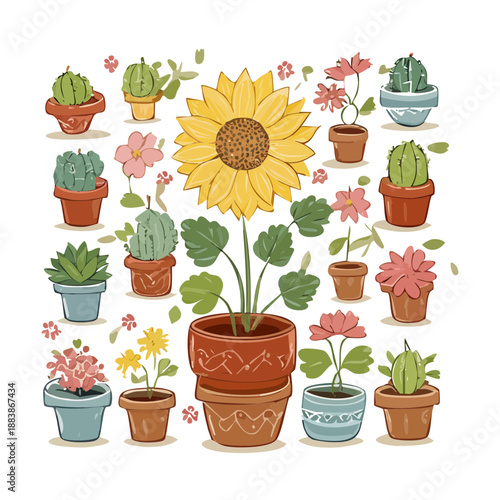 Diverse potted houseplants and succulent collection for urban gardening and indoor nature themed graphic and web design
