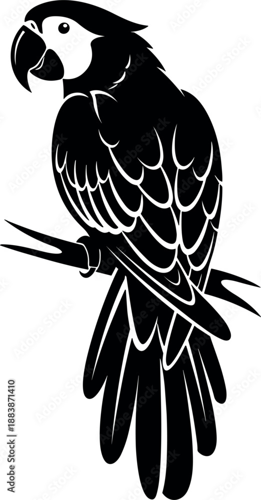 Obraz premium Vector silhouette of a tropical parrot macaw bird perched on a branch isolated on white background for nature wildlife pet shop and exotic animal conservation design