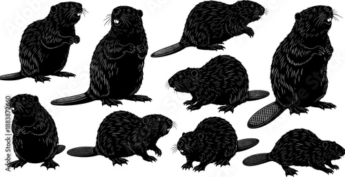 Collection of North American Beaver Animal Silhouettes in Various Poses, Including Standing, Sitting, and Swimming, Ideal for Wildlife and Nature Design Projects