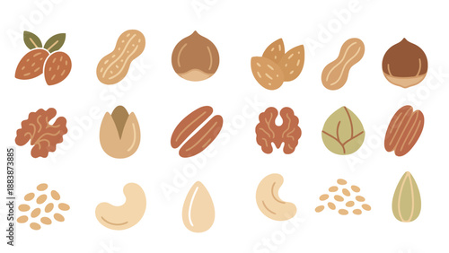 A colorful illustration of various nuts and seeds on a white background