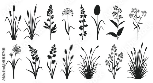 Extensive variety of black silhouette wild grasses and flowers perfect for creating natural landscape and botanical graphic designs.
