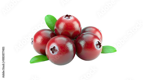 Fresh Cranberries with Leaves