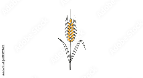 Detailed illustration of a single golden wheat stalk with leaves on a white background symbolizing harvest and agriculture.