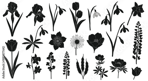 Diverse assortment of spring flower silhouette icons featuring tulips, daffodils, irises, and snowdrops for botanical graphic design.