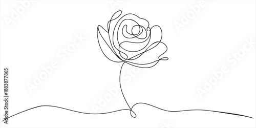 One continuous line drawing of a red rose flower. white background, Rose flower outline vector illustration, vector illustration