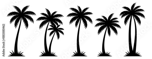 Silhouette palm tree set featuring diverse tropical plants for summer vacation designs
