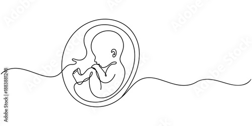 Baby embryo in womb one line drawing. Cute unborn fetus baby on mother womb isolated on white background, Baby embryo in womb in one continuous line drawing. Healthy pregnancy and premature symbol.