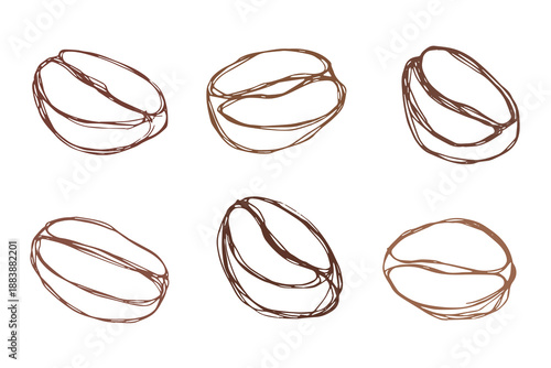 Set of hand drawn fresh roasted coffee bean Arabica robusta seed doodle Single element for design print packaging label decor
