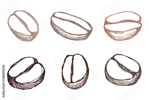 Set of hand drawn fresh roasted coffee bean Arabica robusta seed doodle Single element for design print packaging label decor