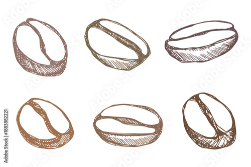 Set of hand drawn fresh roasted coffee bean Arabica robusta seed doodle Single element for design print packaging label decor