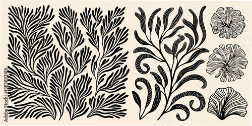 a vintage botanical illustration showcasing intricate leaves and decorative floral elements