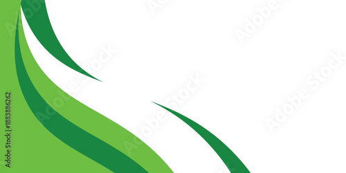 Abstract White and Green wave wide background banner. vector illustration eps10