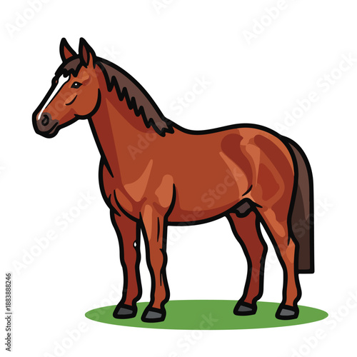 A brown horse with a darker mane and tail