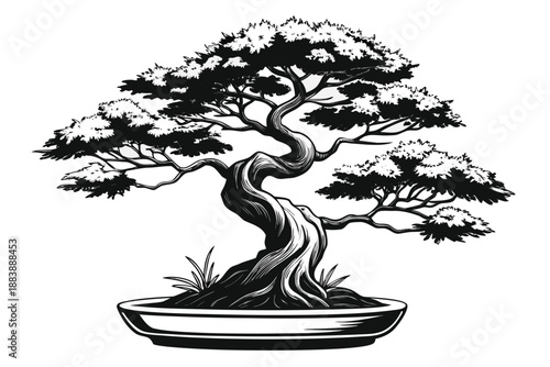 Hand-drawn ink wash illustration, bonsai. Japanese. Sumi-e. Japanese style.