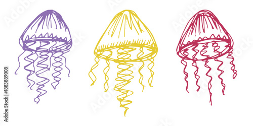 Set of hand drawn jellyfish doodle Sea animal illustration Cute marine underwater creature Medusa sketch clipart Single element for web, design, decor, children's print