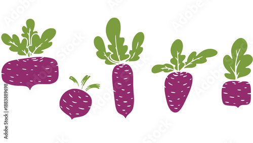 A colorful illustration of various purple radish vegetables with green leaves
