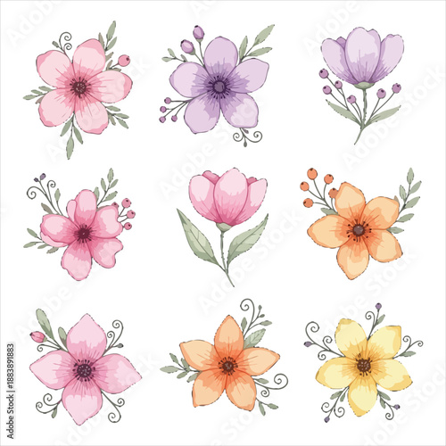 Colorful Watercolor Flower Set Vector Illustration