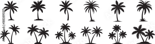 mixed size palm tree silhouette collection isolated vector, tropical palm trees black silhouette nature set, palm tree shapes minimalist vector illustration