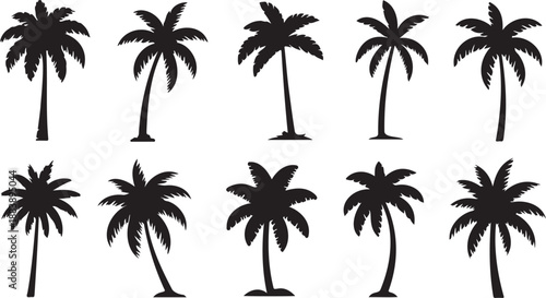 palm tree silhouette icons set isolated on transparent background, black palm trees vector collection tropical nature, minimalist palm tree shapes silhouette illustration
