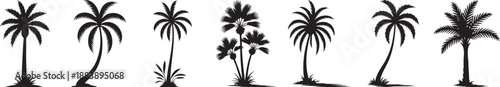 palm tree silhouette collection isolated on transparent background, tropical palm trees black silhouette vector set, palm tree shapes minimalist nature illustration pack