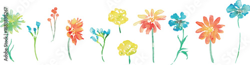 水彩画。水彩タッチのベクター植物イラスト。カラフルな花の水彩背景。春の植物。
Watercolor painting. Vector botanical illustration with watercolor touches. Colorful floral watercolor background. Spring plants.
