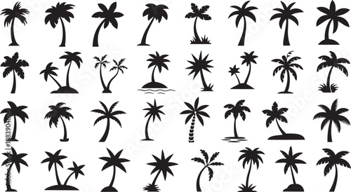 An extensive collection of varied black palm tree silhouettes on a clean white background