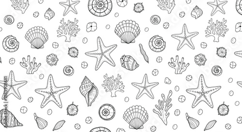 Hand drawn sea life seamless pattern vector illustration with starfish, shells, corals, and detailed underwater line art