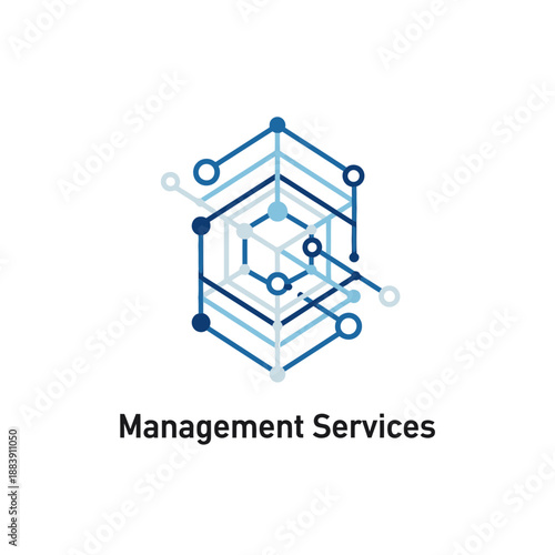 Management Services Abstract Logo featuring a Blue Geometric Data Network and Connectivity Structure.