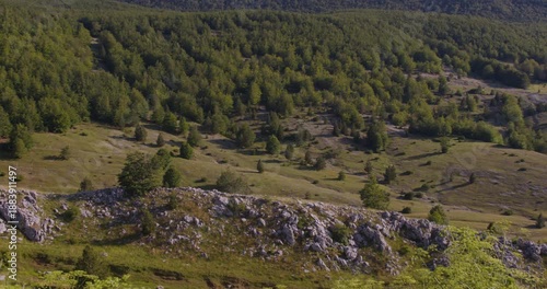 Aerial view of Blidinje Nature Park, Bosnia, with vast pine forest, rocky limestone terrain and open meadows on a sunny summer day