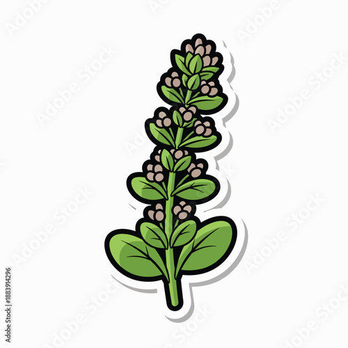 A cartoon-style illustration of a green plant with brown seeds