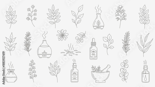 Delicate botanical line art pattern showcasing plants, leaves, flowers, jars, and laboratory glass elements in a soft, minimal outline style. This refined illustration blends nature and science aesthe