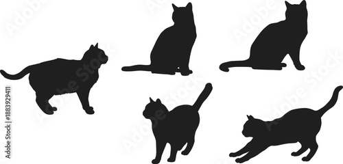 Cat silhouettes, sitting, walking, stretching, black cat vector, domestic pet pose, animal shapes, feline motion, cute kitten icon, graphic