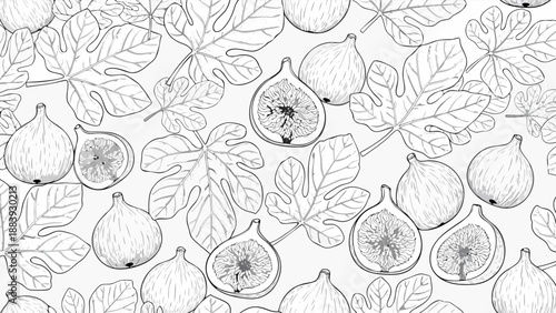 Seamless pattern with botanical illustration of figs and leaves in vector format for food and nature designs