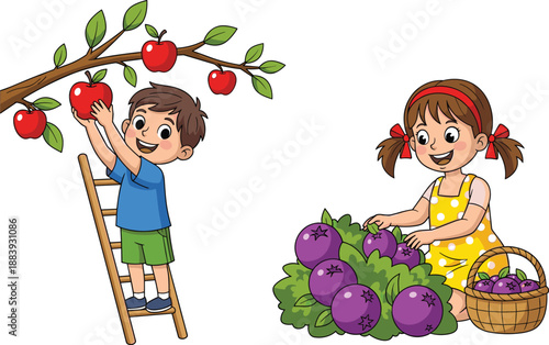 Children harvesting apples and berries, boy picking fruit from apple tree, girl collecting berries in basket, farming, gardening, agriculture, outdoors, healthy lifestyle