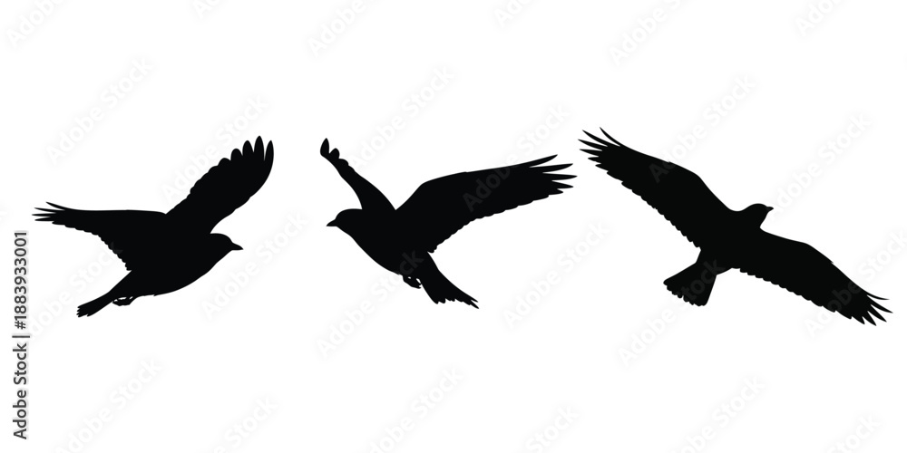 Obraz premium Flat minimalist flock of three flying birds silhouette icon in black, wings spread dynamically.