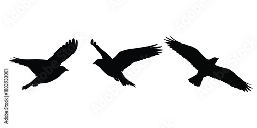 Flat minimalist flock of three flying birds silhouette icon in black, wings spread dynamically.