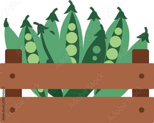 Fresh green pea pods in wooden crate vector illustration for organic farm and market design