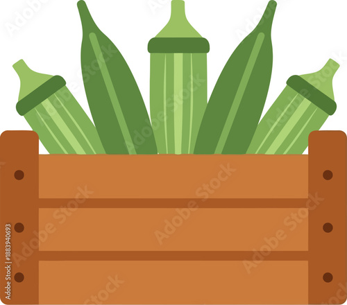 Fresh green zucchini in wooden crate vector illustration for farmers market and organic food design