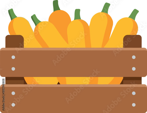 Fresh yellow squash in wooden crate vector illustration for farmers market and organic produce concepts