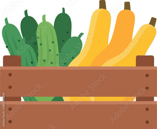 Fresh organic zucchini and cucumbers in wooden crate vector illustration for farmers market and harvest season