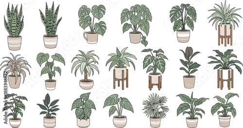 Indoor houseplant illustration set, potted tropical plants collection, modern home decor greenery isolated on white background vector art bundle design