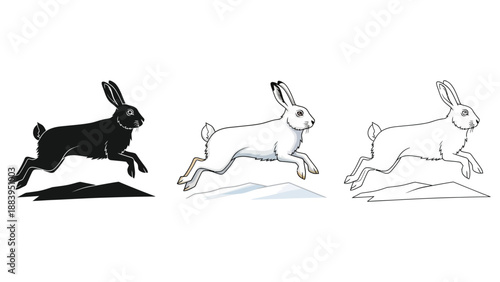 Set of three running hare or rabbit illustrations in black silhouette, color, and line art styles