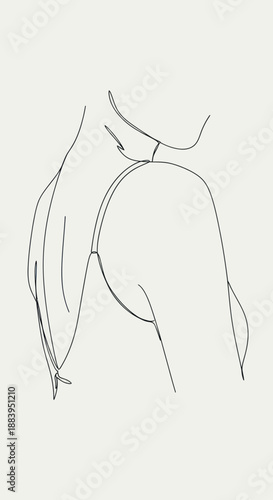 Simple line drawing of a horses head and neck.