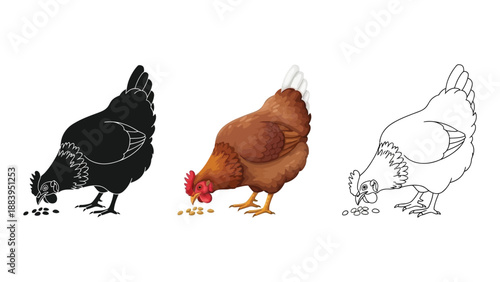 Set of three hen illustrations pecking grain in black silhouette, realistic color, and line art styles