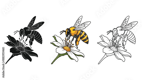 Set of three bee and flower illustrations in black silhouette, color, and line art styles