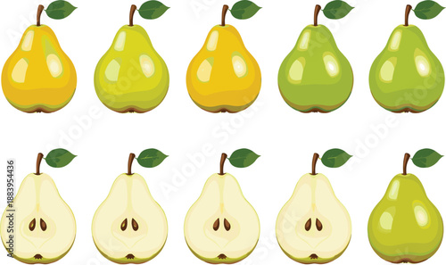 Fresh Pear Fruit Illustration Set With Whole And Sliced Pears Isolated On White Background