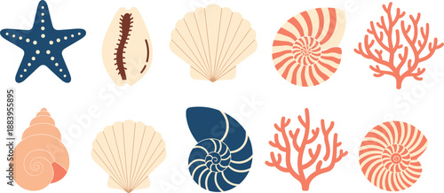 Ocean Seashell And Coral Illustration Set With Starfish And Nautical Marine Elements