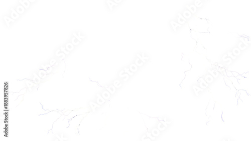 Branching Lightning Strikes on a White Background