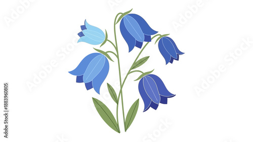 Vector illustration of blue bell flowers with green leaves