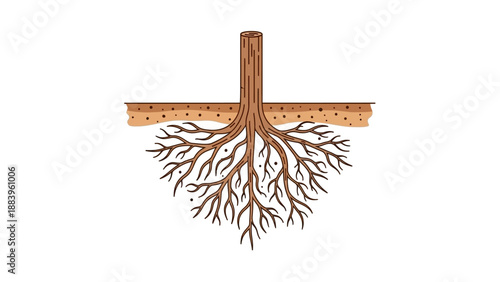 Detailed illustration of tree roots and soil cross-section on white background